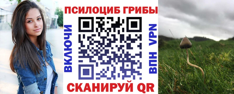 Галлюциногенные грибы Psilocybe  купить наркотик  Балтийск 